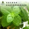 Suministro de Hidrosol de Menta 1 kg, Líquido de Destilación Vegetal Saturado de Primera Etapa, Materia Prima Mayorista para Tónico Cosmético