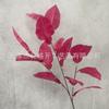 Flores Artificiales Rojo Rosa para Boda, Flores Falsas Decorativas Rojo Rosa para Arreglos de Techo y Piso de Boda, Utilería para Montaje de Escena Floral