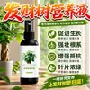 Árbol del Dinero Fertilizante Fertilizante Especial Plantas Verdes Plantas de Interior en Maceta Hidroponía Hojas Amarillas Marchitas Solución Nutritiva Universal Fertilizante Soluble en Agua