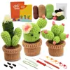 Paquete de Materiales de Crochet Más Vendido de Amazon Serie de Plantas Adornos de Flores en Maceta Regalos Soporte Dropshipping