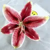 Arreglo de Flores de Lirio Artificiales Nuevo Producto Transfronterizo Arreglo Floral Decorativo Pared de Flores Arreglo Diseño Floral DIY Flores Artificiales
