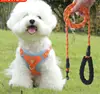 Arnés reflectante para perros con correa de 1.5 metros, para perros pequeños a medianos que pesen 2 kg - 23 kg