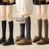 Meias 3/4 Cinzas para Mulheres, Estilo Ballet, Novas Meias de Compressão para Afinar as Pernas, Estilo Slouch para Primavera e Outono, Meias de Algodão Puro Cor Café para Mulheres