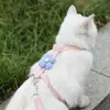 Correa de gato con flor de dibujos animados, linda y anti-escape, forma de I, ajustable, correa específica para mascotas para gatos Ragdoll
