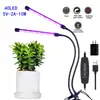 Clipe de lâmpada de planta de temporização de escurecimento USB5V, lâmpada de planta de cabeça dupla, luz de preenchimento para crescimento de planta, lâmpada de planta de 3 cabeças