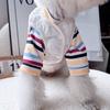 Chaleco Caliente para Cachorros de Otoño e Invierno Set de Dos Piezas Abrigo de Algodón para Gatos Set de Camiseta Interior para Perros Pequeños y Medianos Ropa para Mascotas