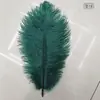 El Fabricante Suministra Plumas de Avestruz Listas para Usar de 25-30 cm para Bodas y Actuaciones, Arreglos de Plumas de Avestruz y Decoraciones de Plumas
