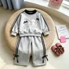 Nueva colección de primavera: conjunto de dos piezas moderno y deportivo para niñas, que incluye una sudadera infantil, perfecto para primavera y otoño, ropa infantil elegante para exportación