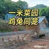 Túnel para gallinero exterior para familias rurales, Corredor de acceso directo para criar pollos, Túnel para gallinero de uso doméstico