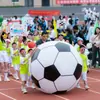Pelota inflable extragrande accesorios para tiro a portería de fútbol instalaciones deportivas divertidas pelota de sandía de seis pétalos pelota de agua pelota de playa