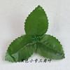 Fabricante de Telas Atacado Folhas Verdes Buquê Simulado Decoração Folha Triangular Acessórios de Folha