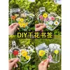 Marcador de Flores Secas Espécimen de Planta Película Selladora Botella Flores Prensadas Recolectadas en Otoño Material Hecho a Mano DIY Flor Transparente