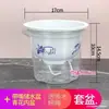 Maceta autorriego Potos maceta automática perezosa que absorbe agua maceta transparente plástico maceta especial para Potos venta al por mayor