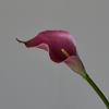 Flores Artificiales al por Mayor para Decoración del Hogar, Tamaño Pequeño, Lirios de Calas con Tacto Realista, Adecuados para Arreglos en Sala de Estar y Mesa de Comedor, Flores Falsas, Accesorios para Fotografía