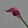 Decoración Floral para el Hogar al por Mayor Transfronteriza Lirios de Calas de Tacto Real de Tamaño Mediano para Arreglos Florales de Sala de Estar y Mesa de Comedor Flores Artificiales