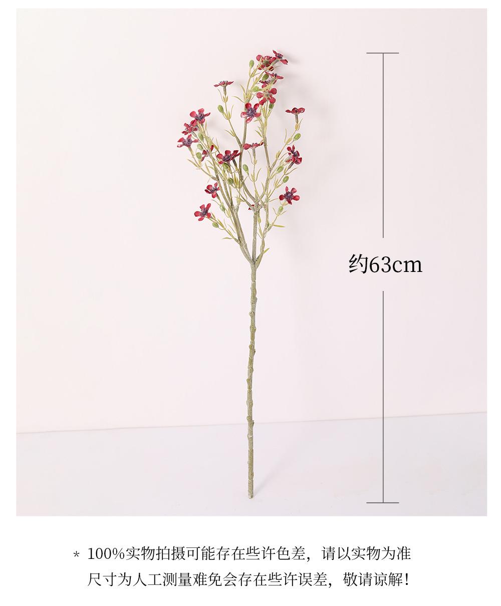 详情_03.jpg