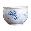 Taza de Té Taza de Capullo de Margarita Azul de Fábrica Taza Maestra de Cerámica Taza Individual Taza de Té Personal Taza de Té de Lujo Accesible Tamaño Grande