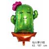Balão de Filme de Alumínio Cacto Melancia Abacaxi Balão de Festa Panqueca Mexicana Boia de Natação Decoração Layout Balão