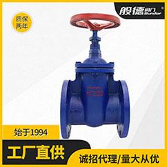 铸铁闸阀