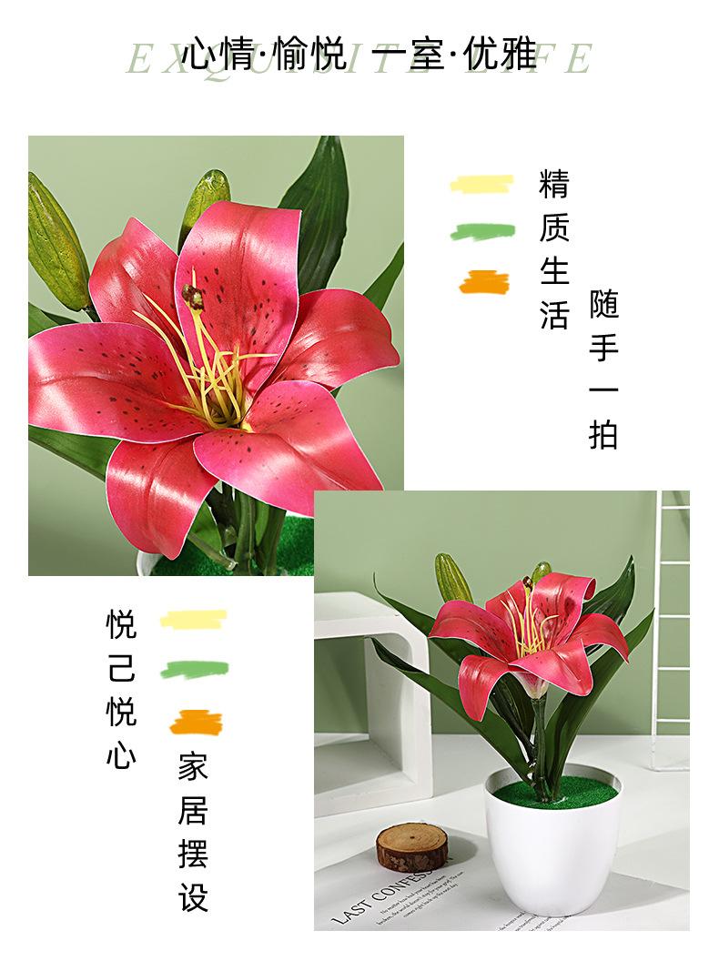 保侬详情_02.jpg