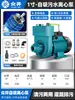 Bomba autocebante K 220V Bomba de alto flujo para agua limpia Bomba de agua Agrícola Aguas residuales Tanque séptico Drenaje Bomba centrífuga Hierro fundido