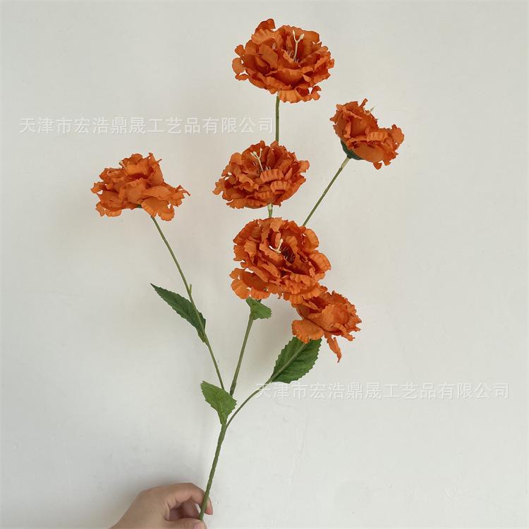 微信图片_202209091747476