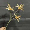 Flores de Nochevieja, Flores Artificiales Doradas, Eucalipto Dorado, Hortensia, Abanico Dorado, Hojas de Ginkgo, Cubo de la Fortuna, Arreglo Floral, Hojas, Flores de Plástico