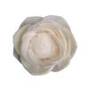 Al por Mayor en Stock 4cm Ratán Aromaterapia Flor de Loto y Pandora Flores Secas Se Pueden Teñir y Perforar para Decoración del Hogar Flores Artificiales