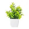 Plantas em Vasos Simuladas para Decoração de Casa, Lavanda para Mesa de Jantar, Plantas Verdes de Alecrim para Escritório, Plantas Verdes de Escritório