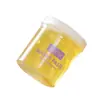 Crema Depilatoria de Cera de Abejas Transfronteriza 450g Depilación a Base de Agua para Zonas Íntimas Bikini Reparadora Hidratante Waxkiss