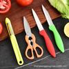 Venta al por mayor directa de fábrica, cuchillo de fruta, cuchillo, tijeras, juego de cuchillos de acero inoxidable para cocina doméstica, juego de cinco piezas