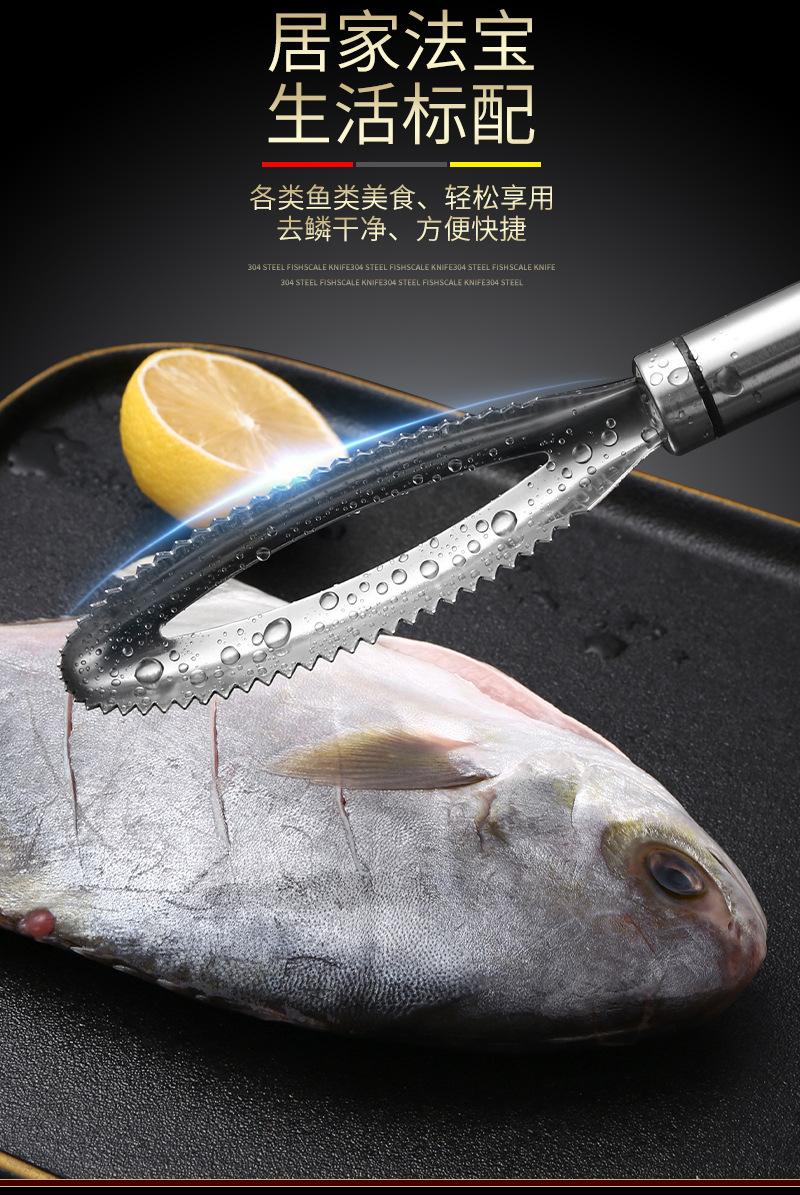 鱼鳞_03.jpg