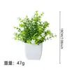 Plantas Simuladas de Venta Caliente Transfronteriza, Plantas Falsas, Plantas Verdes, Decoración para Interiores y Exteriores, Plantas en Maceta de Plástico, Pequeñas Plantas en Maceta de Eucalipto