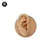 Modelo de Exhibición de Auriculares de Oreja de Silicona Joyería de Pendientes de Oreja Práctica de Limpieza de Orejas Prop de Enseñanza de Simulación del Cuerpo Humano