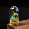 Pedra Bruta de Cristal Natural Ornamento de Cogumelo Micro Paisagem Espécime Mineral Presente de Feriado Decoração Criativa para Mesa de Casa