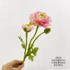 Simulación de flor de peonía extranjera camelia botón de oro rocío de loto peonía occidental adornos de decoración del hogar suministro transfronterizo de comercio electrónico