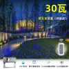 Luz de Proyección Láser Cielo Estrellado Luciérnaga Dinámica Luz de Ambiente Exterior Iluminación de Césped de Parque Escénico Luz Láser