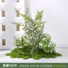 Plantas de Musgo Paisagismo Floreira Combinação Divisória Decoração Micro Paisagem Plantas Verdes Biônicas Paisagismo Interno Vasos de Exibição Bonsai Roxo