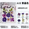 Paquete de Hojas de Flores Secas DIY Cristal Epoxi Paquete de Materiales de Flores Hechos a Mano Pegatinas de Flores Prensadas Materiales Plantas Decorativas Muestras Fotografía