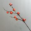 Fruta Persimmon de Simulação Flor Artificial Decoração Persimmon Ruyi Decoração Flor de Plástico Buquê Decoração de Sala de Estar Mesa de Jantar de Luxo Leve Alta Qualidade