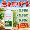 Cebolla Jengibre Ajo Factor de Incremento de Rendimiento Fertilizante Siembra de Hortalizas Hojas Gruesas Fertilizante Orgánico Hinchazón de Fruta Granulados Incrementadores de Rendimiento Fertilizante de Liberación Lenta Mayoreo