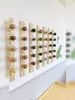 Museu de Sementes DIY para Jardim de Infância Caixa de Materiais de Criação Ambiental Corredor da Escola Arranjo de Criação Ambiental Caixa de Sementes