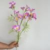 Flor Artificial Pequena Flor Silvestre Pequeno Crisântemo Céu Estrelado Cosmos Decoração Cerimonial de Casamento Flor Casa Mesa de Jantar Colocação de Flor Artificial