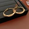 Agujas de Plata con Incrustaciones de Diamantes, Aretes de Metal Torcido, Estilo Nicho, Aretes Exagerados Estilo Frío, Lujo Accesible, Aretes Europeos y Americanos de Alta Gama