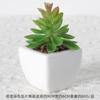 Simulación Carnosa Cerámica Bonsái Nórdico Verde Planta Adornos Ins Hogar Interior Sala de Estar Flor Falsa Planta Carnosa en Maceta Adornos