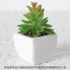 Suculentas Simuladas Personalizadas Cerámica Bonsái Plantas Verdes Escandinavas Adornos Hogar Interior Sala de Estar Flores Falsas Suculentas Plantas en Maceta