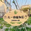 Prado de Flores Personalizado Marca Árbol Marca de Suelo para Exteriores Anti-Corrosión Madera Maciza Introducción de Marca Colgante de Planta Colgante