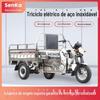Triciclo Elétrico para Carga, Aço Inoxidável, Uso Doméstico, Heavy-Duty, Uso Agrícola, Exportação, Comércio Exterior, Transfronteiriço