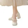 Nuevos zapatos de tacón alto estilo chino para mujer, tacón grueso, adecuados para falda Ma Mian, modelo nuevo primavera-verano 2026 otoño, zapatos Mary Jane de estilo tradicional chino para mujer