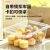 Cajas de plástico desechables para alimentos y pasteles, cajas de embalaje para snacks, pan y pasteles, cajas de almacenamiento desechables PET multiestilo